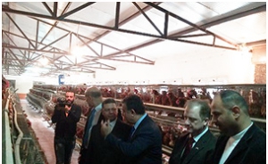 The Minister of Manpower and the University President inspect the Plant Nurseries in Moshtohor